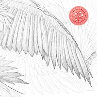 Angels & Devils Angels & Devils