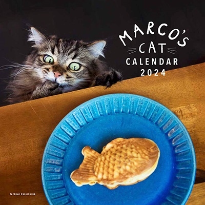 MARCO/MARCO's CAT CALENDAR 2024[9784777830268]