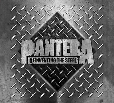 PANTERA パンテラ LP - 洋楽