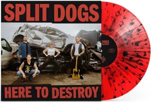 Split Dogs/Here To Destroy/Red With Black Splatter Vinyl[VENNLP072C2]