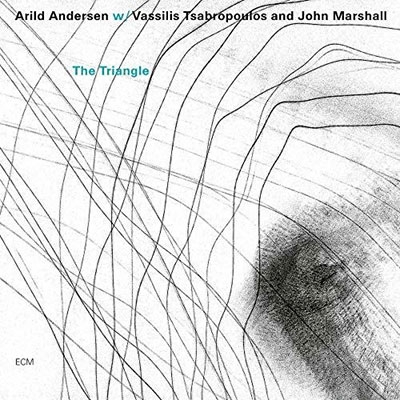Arild Andersen/The Triangle[6743046]