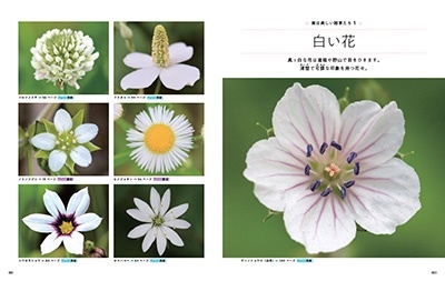 四季の雑草図鑑いつもの散歩が楽しくなる TJ MOOK