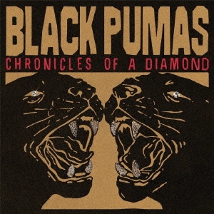 Black Pumas/˥륺֡[ATO0654CDJ]