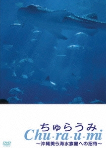 ちゅらうみ 沖縄美ら海水族館への招待