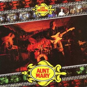 Aunt Mary/饤˥[ARC3050]