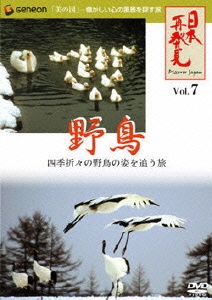日本再発見 VOL.7～野鳥～