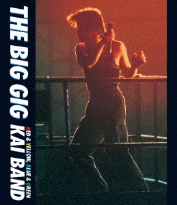 Х/THE BIG GIG[UPXY-6044]