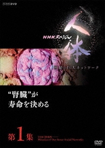 NHKスペシャル 人体 神秘の巨大ネットワーク 第1集 "腎臓"が寿命を決める