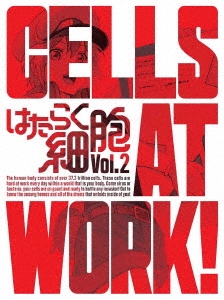 鈴木健一 アニメ監督 はたらく細胞 Vol 2 Dvd Cd 完全生産限定版