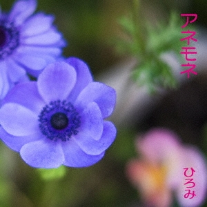 Ҥ/ͥ[SSRG-21081]
