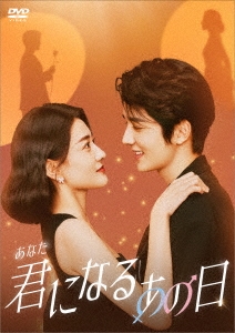 君(あなた)になるあの日 DVD-BOX2
