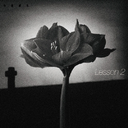 SADS/Lesson 2[AVCD-38209]