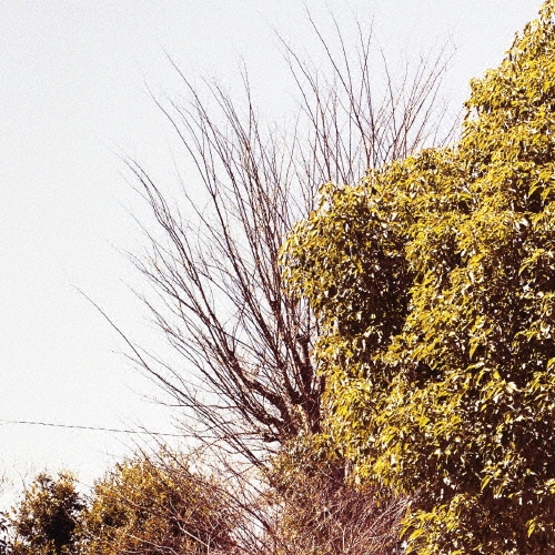 ���ҿ���/TIME STREAM season1[TOCL-0001]