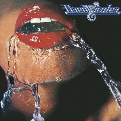 TOWER RECORDS ONLINE㤨Breakwater/֥쥤ס[SICP-4928]פβǤʤ1,100ߤˤʤޤ