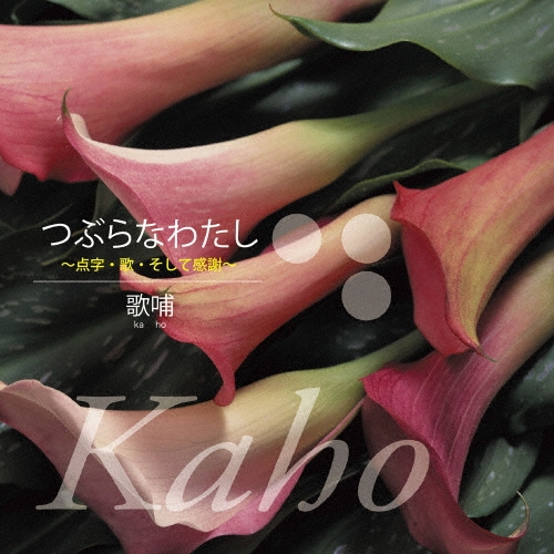 Ӯ(Kaho)/Ĥ֤ʤ錄[AM002]