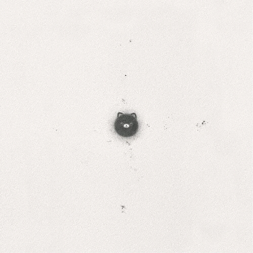 石の糸 ひとりでに＜数量限定盤/Black Vinyl＞/カネコアヤノ