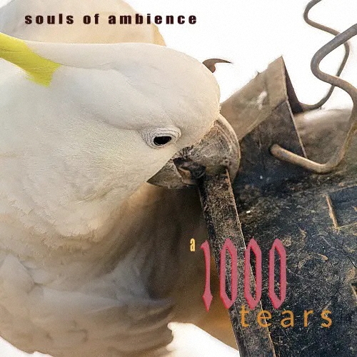 Souls Of Ambience/ɡƥ[BITX1372]
