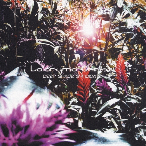 DEEP SPACE SYNDICATE