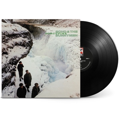 Echo & The Bunnymen/Porcupine (180Gram Black Vinyl)