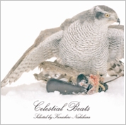Celestial Beats selected by Kenichiro Nishihara Celestial Beats selected by Kenichiro Nishihara