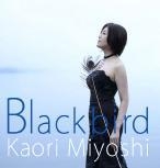 ブラックバード ブラックバード