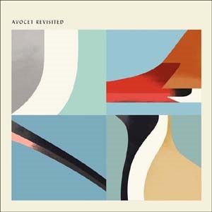 avocetβ