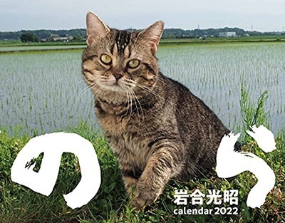 岩合光昭 22猫カレンダー のら