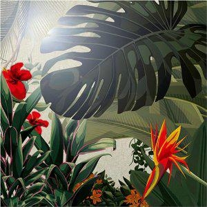 NYMPHEAS＜数量限定盤＞