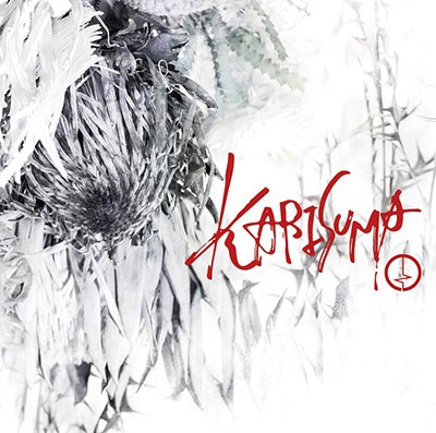 ɥɥ饴/KARISUMA CD+DVDϡ/Btype[BPRVD-409]
