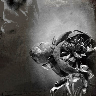 PREDICTING THINGS AND INTUITION<初回限定盤> PREDICTING THINGS AND INTUITION<初回限定盤>