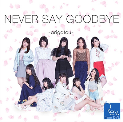 NEVER SAY GOODBYE ～arigatou～ (Type-B) ［CD+DVD］