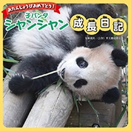子パンダ シャンシャン成長日記 おたんじょうびおめでとう! 子パンダ シャンシャン成長日記 おたんじょうびおめでとう!
