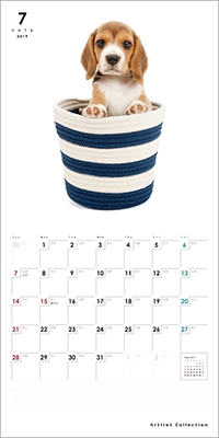ミニ ビーグル カレンダー 19