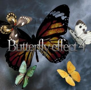 Butterfly effect4