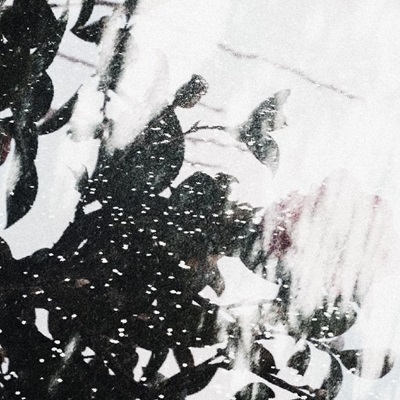 TOWER RECORDS ONLINE㤨tubby tabby/Ĥ꤫[TT-02]פβǤʤ825ߤˤʤޤ