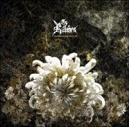 The Sorrow Is Deep Above All