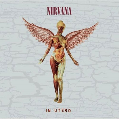 In Utero (30th Anniversary)(Deluxe Edition)