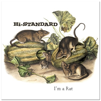 Hi-STANDARD/I'm a RatPicture Vinyl[FAT3497]