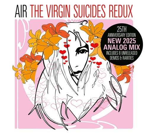Virgin Suicides: Air: Amazon.ca: Music