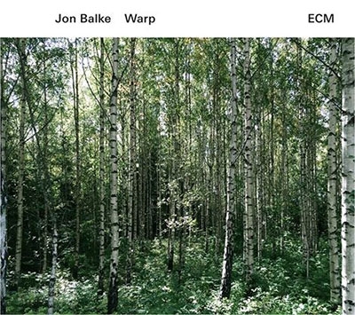 Warp