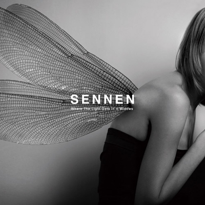 ホェア・ザ・ライト・ゲッツ・イン + ウィドウズ