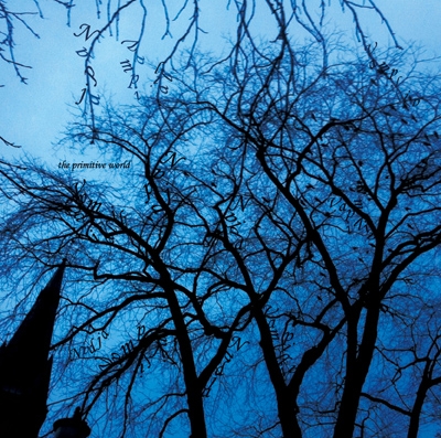 The primitive world
