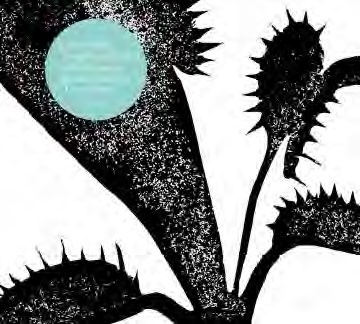 TOWER RECORDS ONLINE㤨Joao Paulo Esteves Da Silva Trio/The River[RTMCD1593]פβǤʤ2,970ߤˤʤޤ