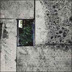 TOWER RECORDS ONLINE㤨Lily (Rap/Modern Malaise[NC006]פβǤʤ2,591ߤˤʤޤ