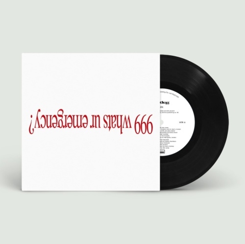 TOWER RECORDS ONLINE㤨Wet Leg/CPR / davina mccall̸ס[RUG1501]פβǤʤ2,490ߤˤʤޤ
