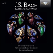 J.S.Bach: Famous Cantatas J.S.Bach: Famous Cantatas