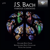 J.S.Bach: Famous Cantatas