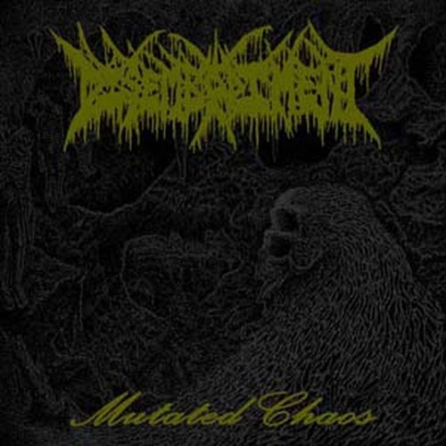 TOWER RECORDS ONLINE㤨Disembodiment/Mutated Chaos[SPIT056CD]פβǤʤ2,090ߤˤʤޤ