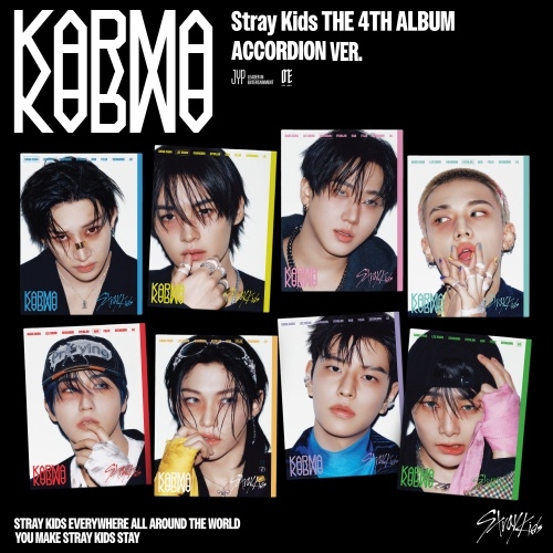 straykids ジョンイン　ランダムポラロイド10枚セット straykids ジョンイン ランダムポラロイド10枚セット INSTANT