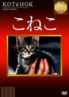 こねこ こねこ